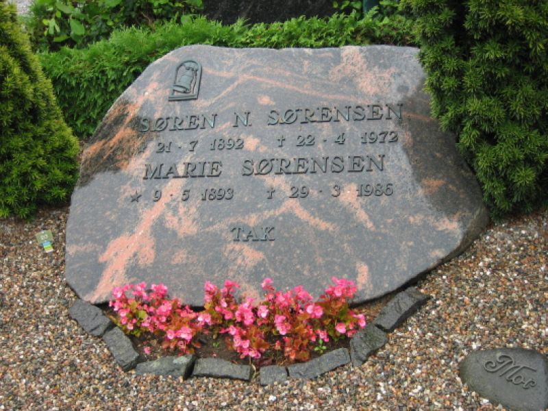 Soeren N. Soerensen.jpg